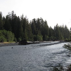 Hoh River (West)