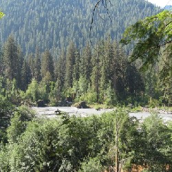 Hoh River Valley