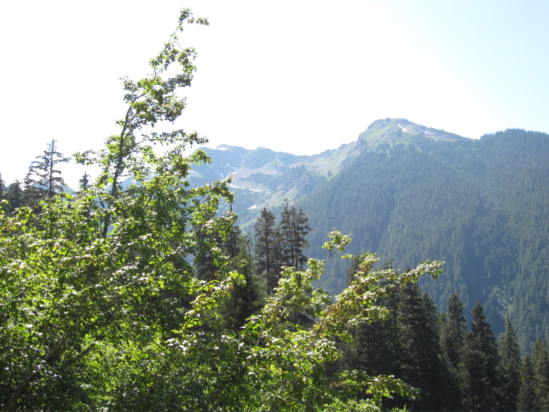 Western Ridge of Hoh River Valley