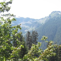 Western Ridge of Hoh River Valley