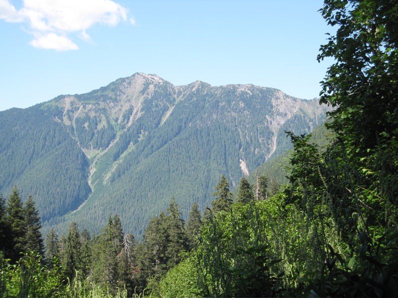 Southern Ridge of Hoh River Valley