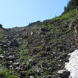 Glacier Meadows