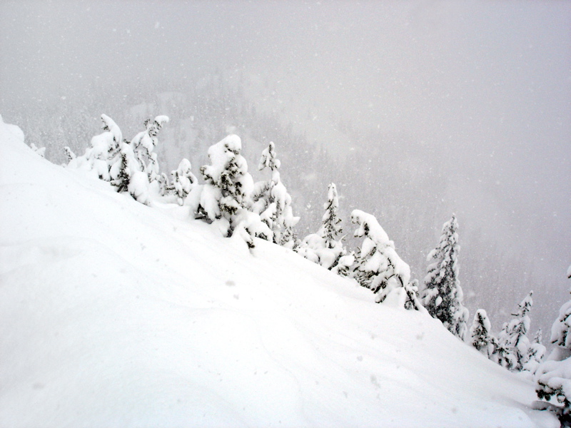 The Chutes