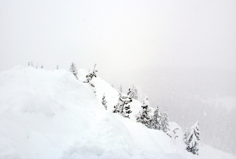 Past The Chutes - Out of Bounds