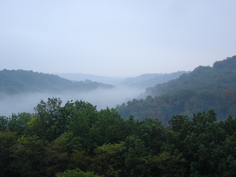 DSC00706.JPG