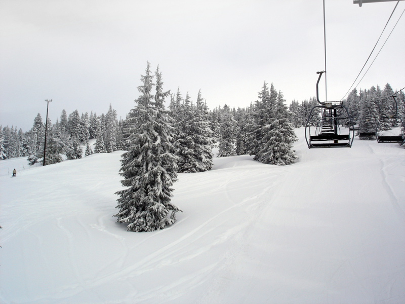 Powder Fields