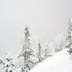 Mt. Hood Ski