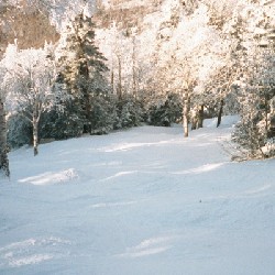 Doc Dempsey's Glades