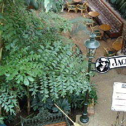 Jack Daniels Cafe