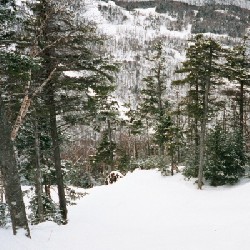 Robin's Run Entrance