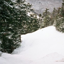 Robin's Run Entrance