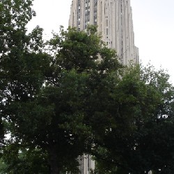 Pittsburg Cathedral