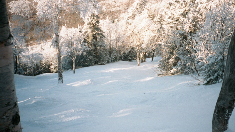 Doc Dempsey's Glades