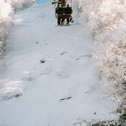 Madonna Upper Liftline Headwall (middle)