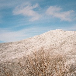 Morse Mountain (From Below)
