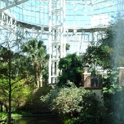 Opryland Delta Room