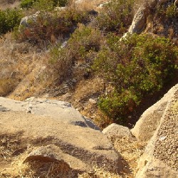 Top of Mission Gorge