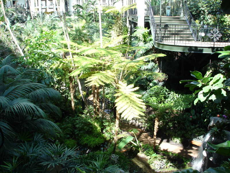 Opryland Garden Conservatory