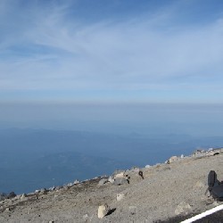 Mount Adams Western View