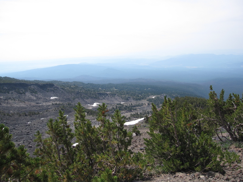 Mount Adams Tree Line