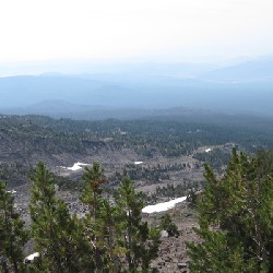 Mount Adams Tree Line