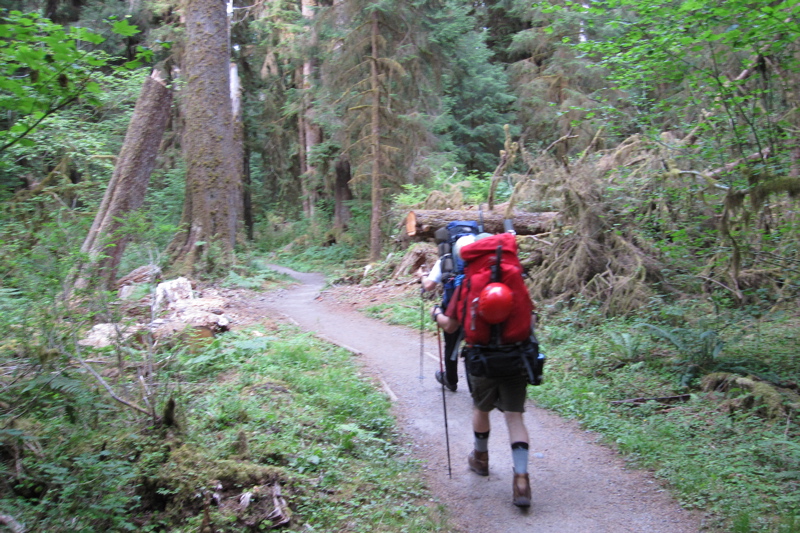 Start of the Hoh River Trail