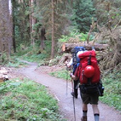 Start of the Hoh River Trail