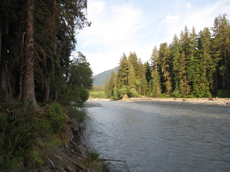 Hoh River (East)