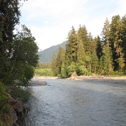 Hoh River (East)