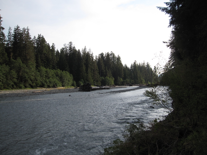 Hoh River (West)