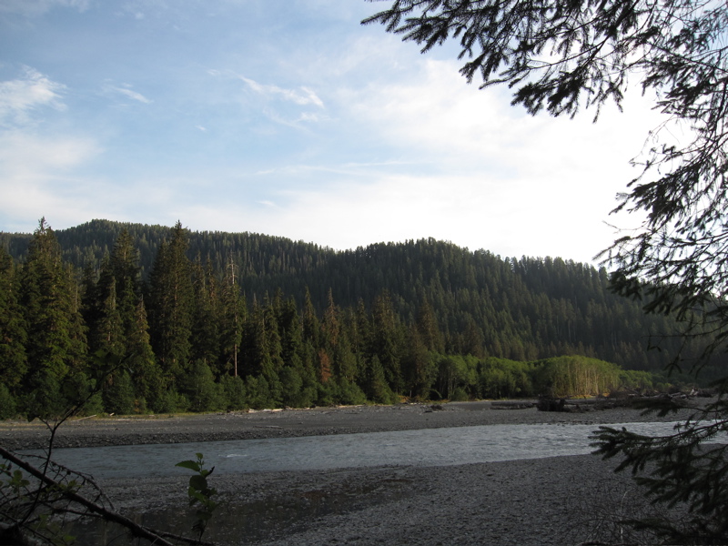 Hoh River Evening