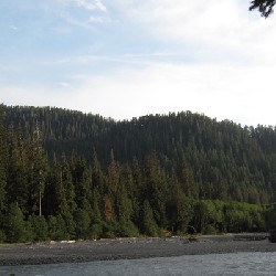 Hoh River Evening