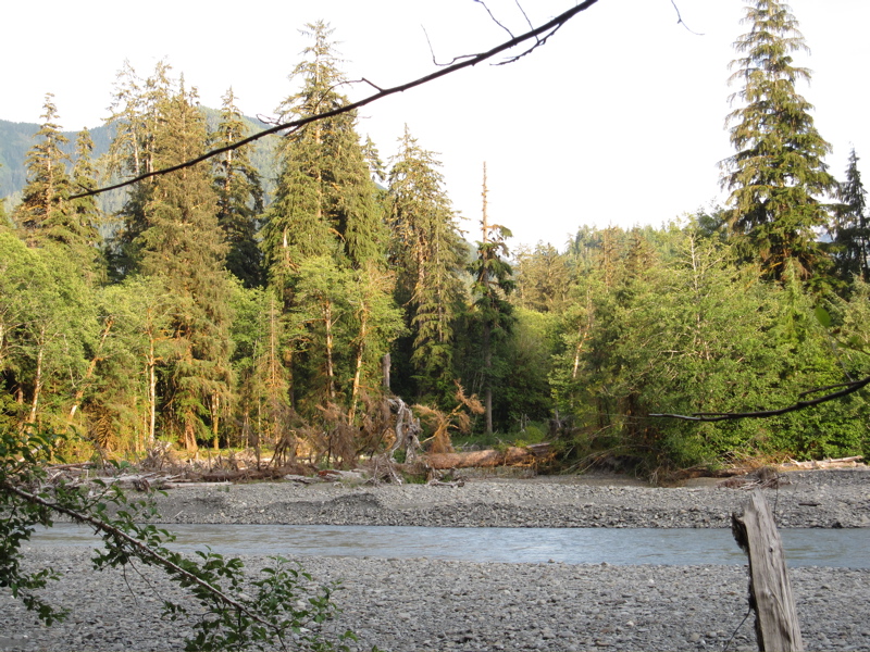 Hoh River Gravel Bars