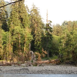 Hoh River Gravel Bars