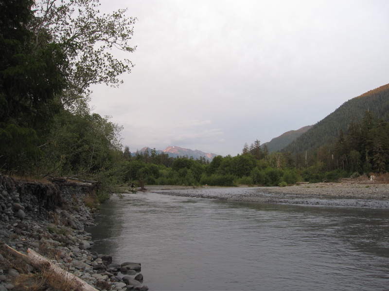 Hoh River from Five Mile Island Campground