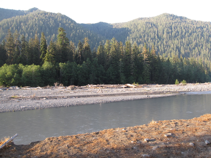 Hoh River (A)