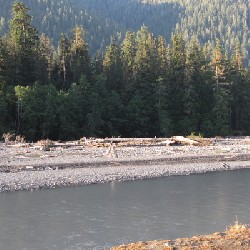 Hoh River (A)