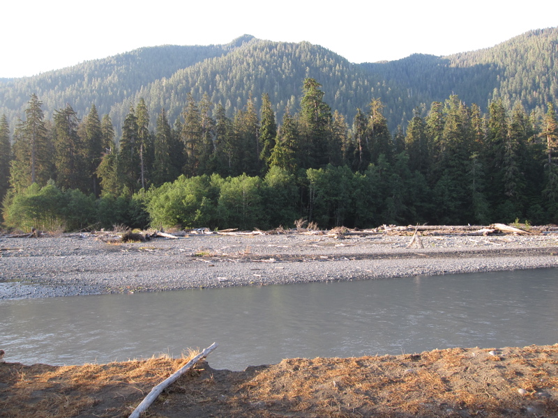 Hoh River (B)