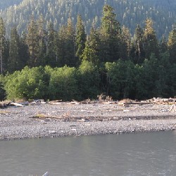 Hoh River (B)