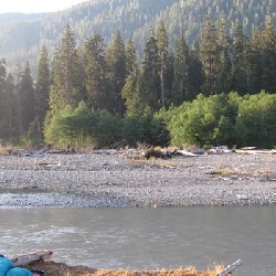 Hoh River (C)