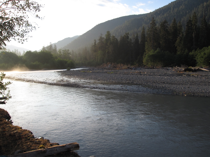 Hoh River Foggy Morning