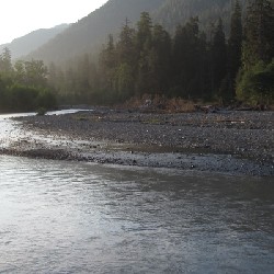 Hoh River Foggy Morning