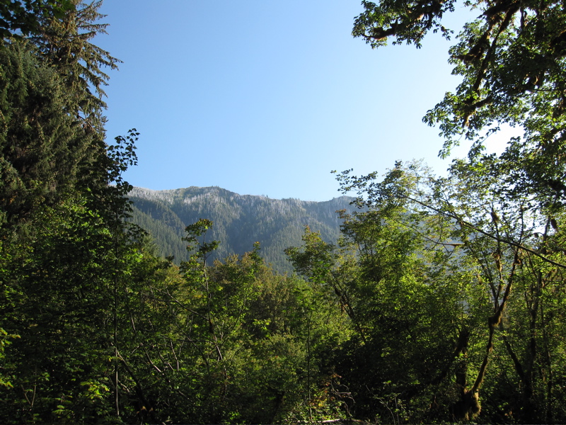 Northern Ridge of Hoh River Valley