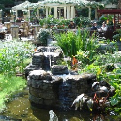 Cascade Room Fountains