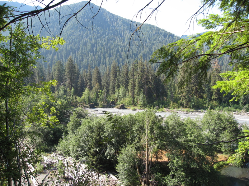 Hoh River Valley