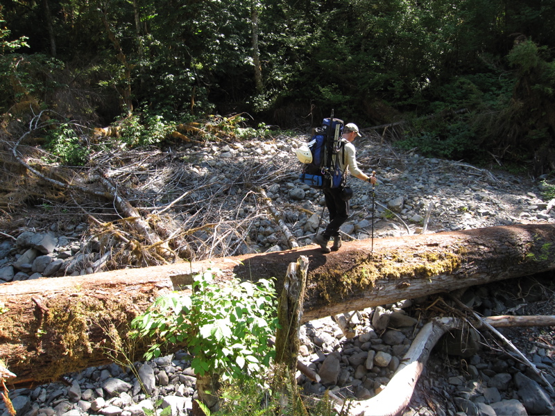 Dan on Log Bridge