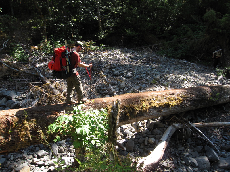 John on Log Bridge