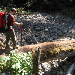 John on Log Bridge