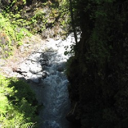 Hoh River from Metal Bridge