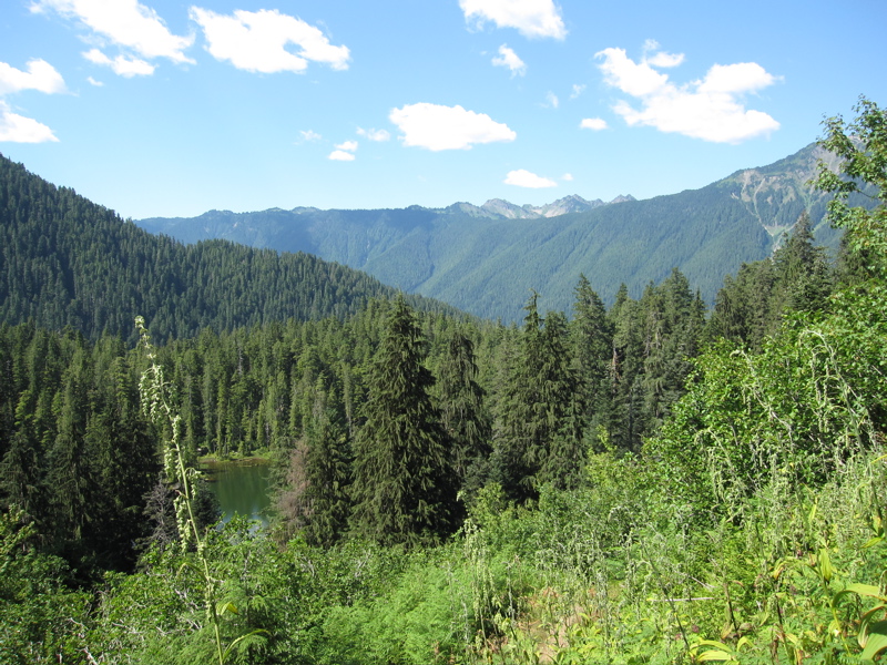 Above Elk Lake